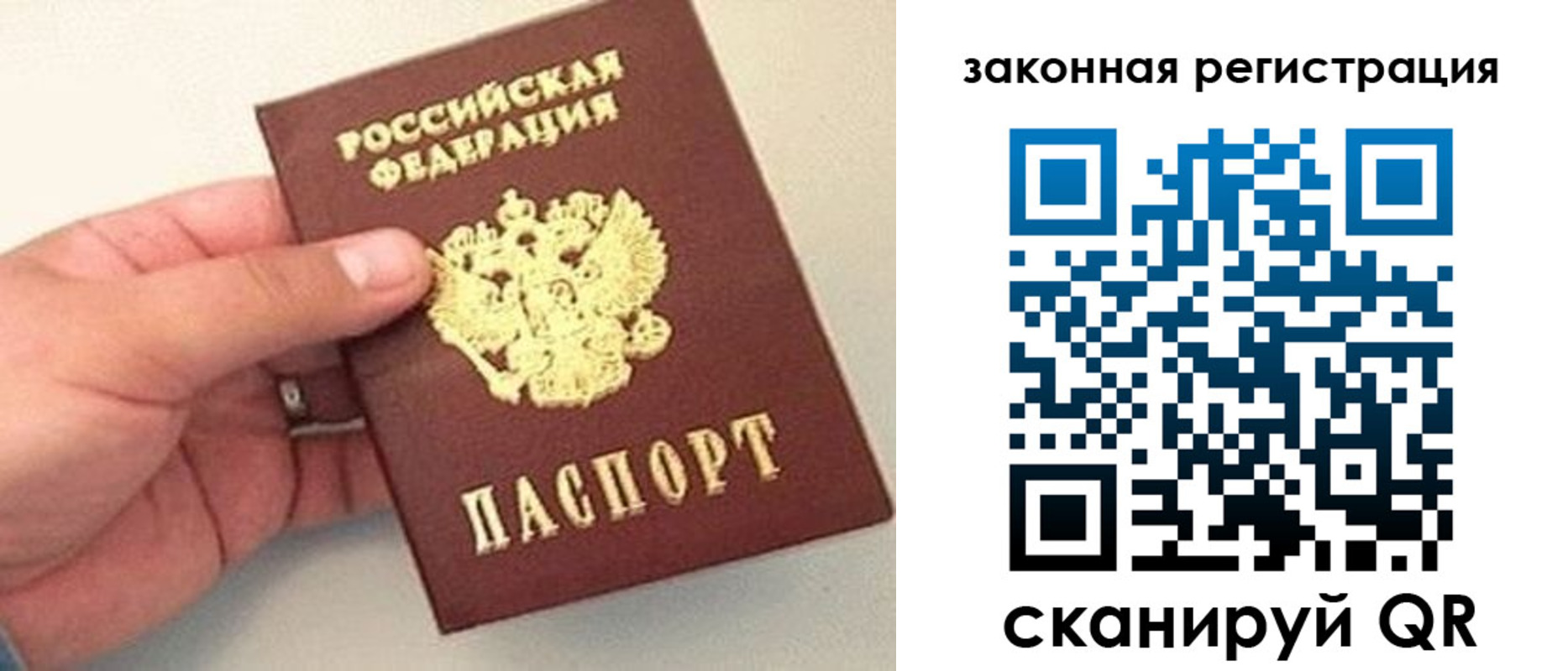 прописка для школы в Лесозаводске